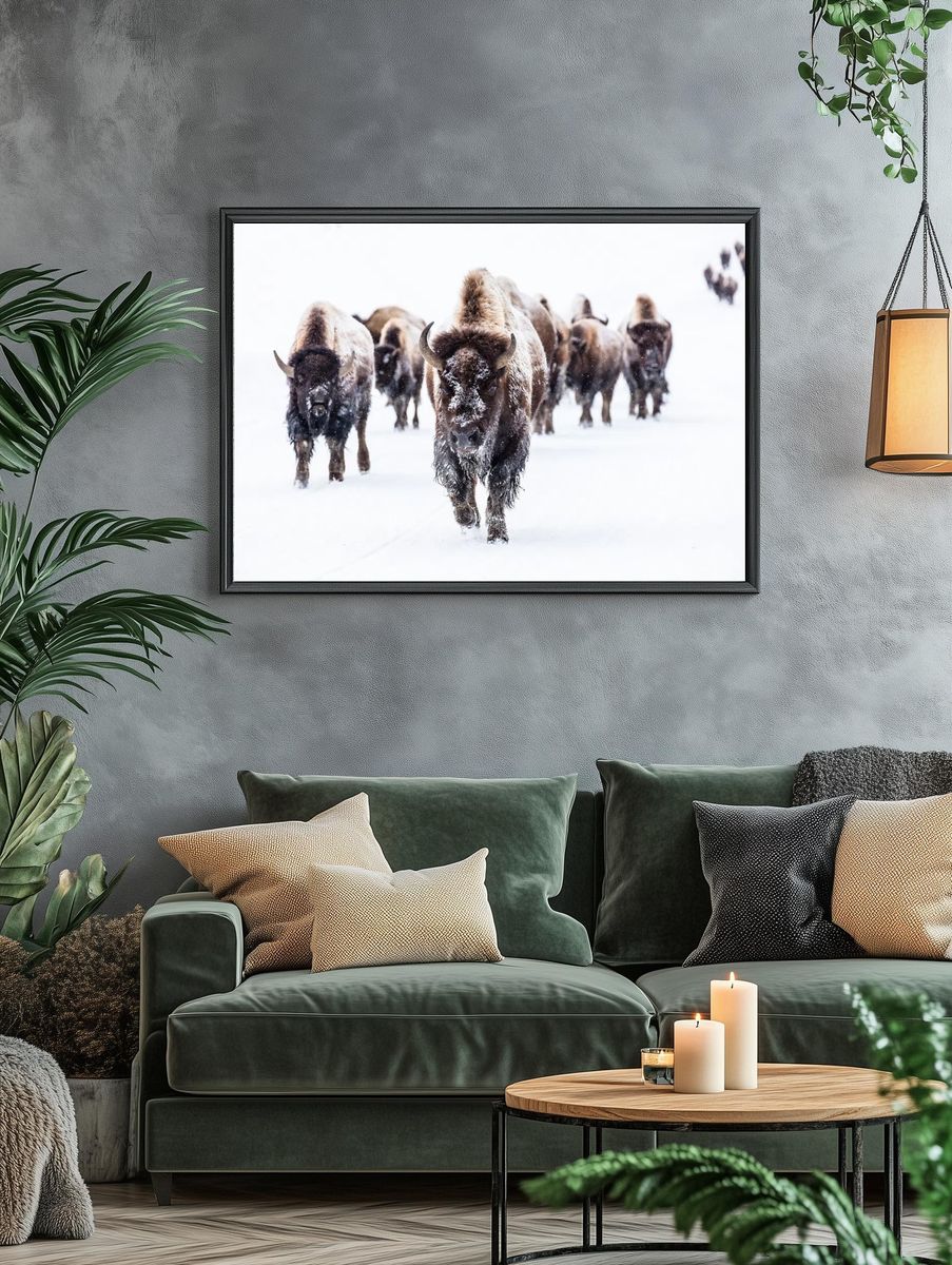 Bison group road Frying Pan. — room view 4
