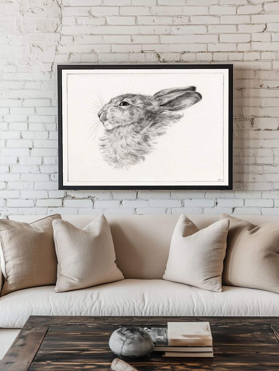 Head rabbit (1821) drawing high. room preview