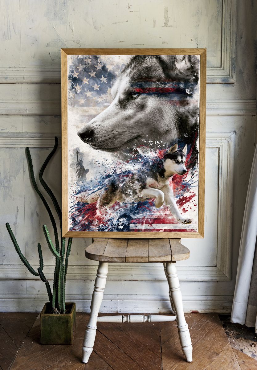 Patriotic Husky Illustration Poster. room preview