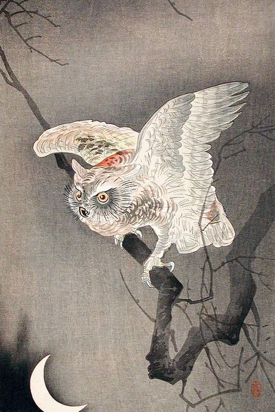 Scops Owl Moonlight Ohara Koson.