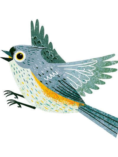 Colorful Songbird Illustration Poster.