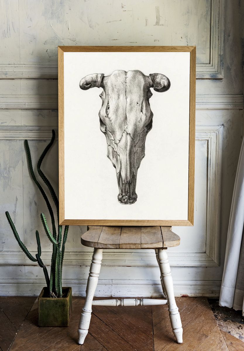 Skull cow (1816) Jean Bernard. — room view 1