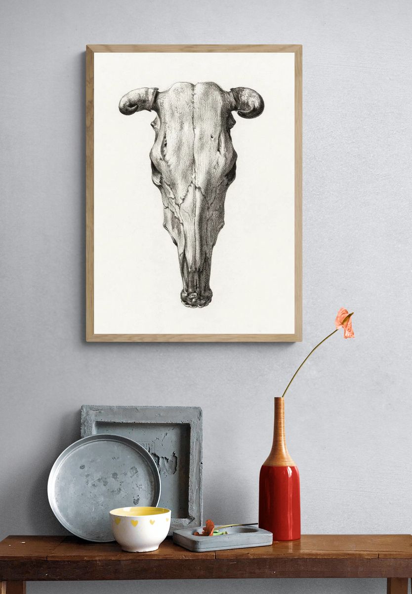 Skull cow (1816) Jean Bernard. — room view 3