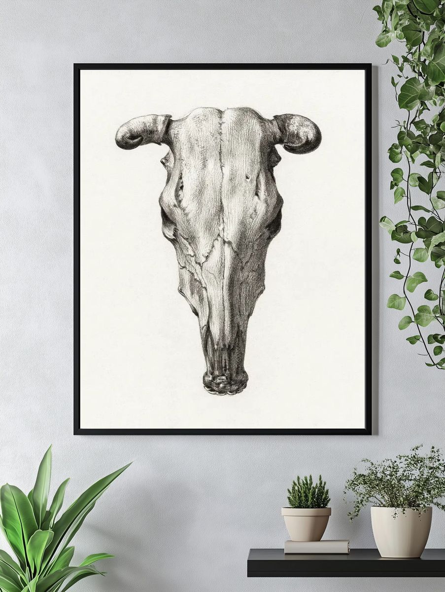 Skull cow (1816) Jean Bernard. — room view 4