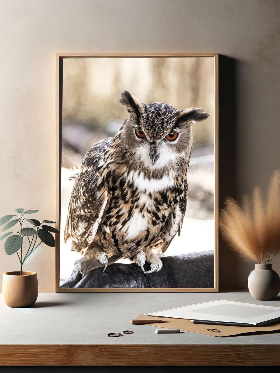 Great Horned Owl Photography Poster. — room view 2