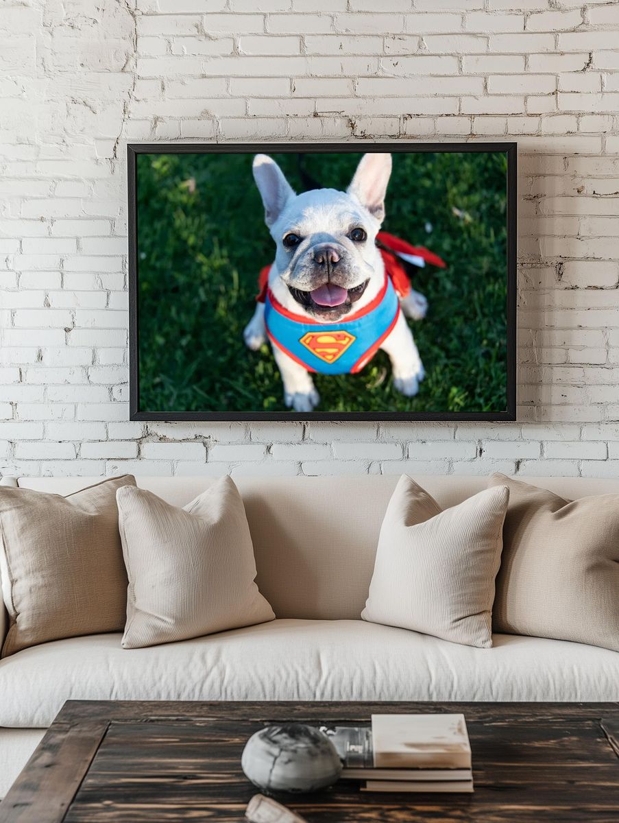 Howl-O-Ween Spooktacular pet costume contest. room preview