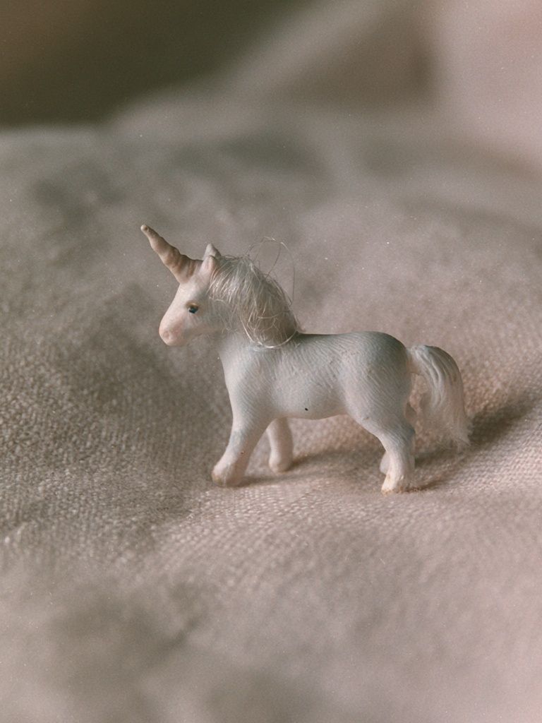 Miniature Unicorn Photography Poster. poster — animals art