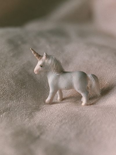 Miniature Unicorn Photography Poster.