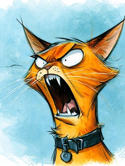 Angry Cat Illustration Poster.