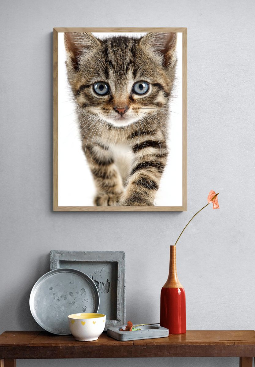 Tabby Kitten Portrait Poster. — room view 3