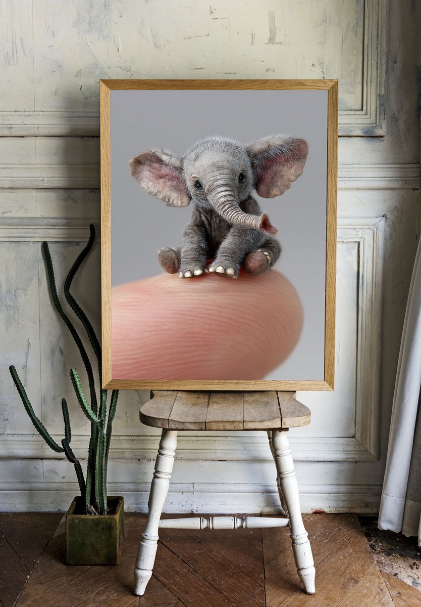 Tiny Elephant Photography Poster. room preview