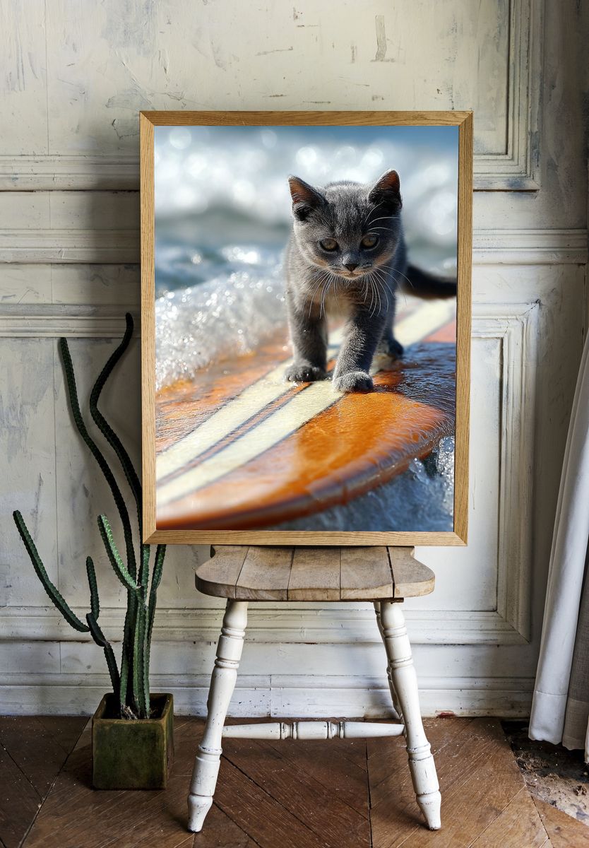 Surfboard Kitten Photography Poster. — room view 1