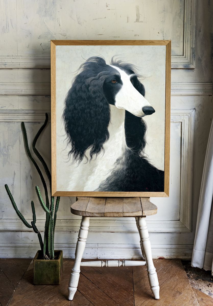 Afghan Hound Portrait Print. — room view 1