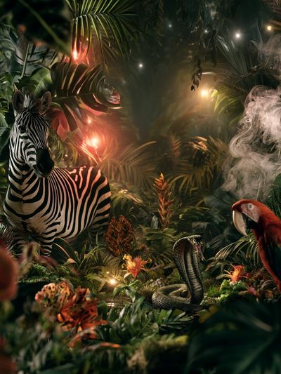 Tropical Jungle Wildlife Poster.