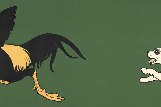 Cock Bird & Dogs (1901). poster detail