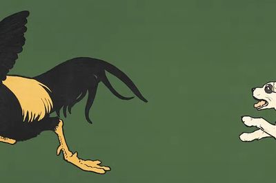 Cock Bird & Dogs (1901). poster