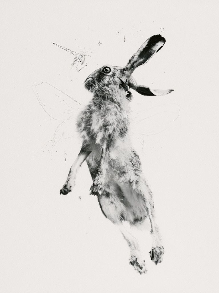 Leaping Hare Black-White Print. poster — animals art