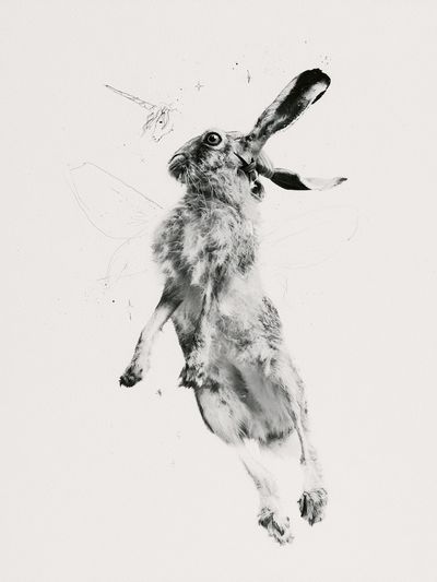 Leaping Hare Black-White Print.