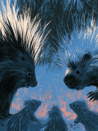 Porcupine Family Illustration Poster. poster