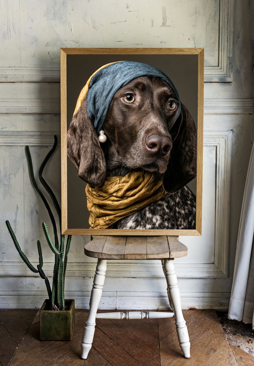 Dachshund Portrait Photography Poster. room preview