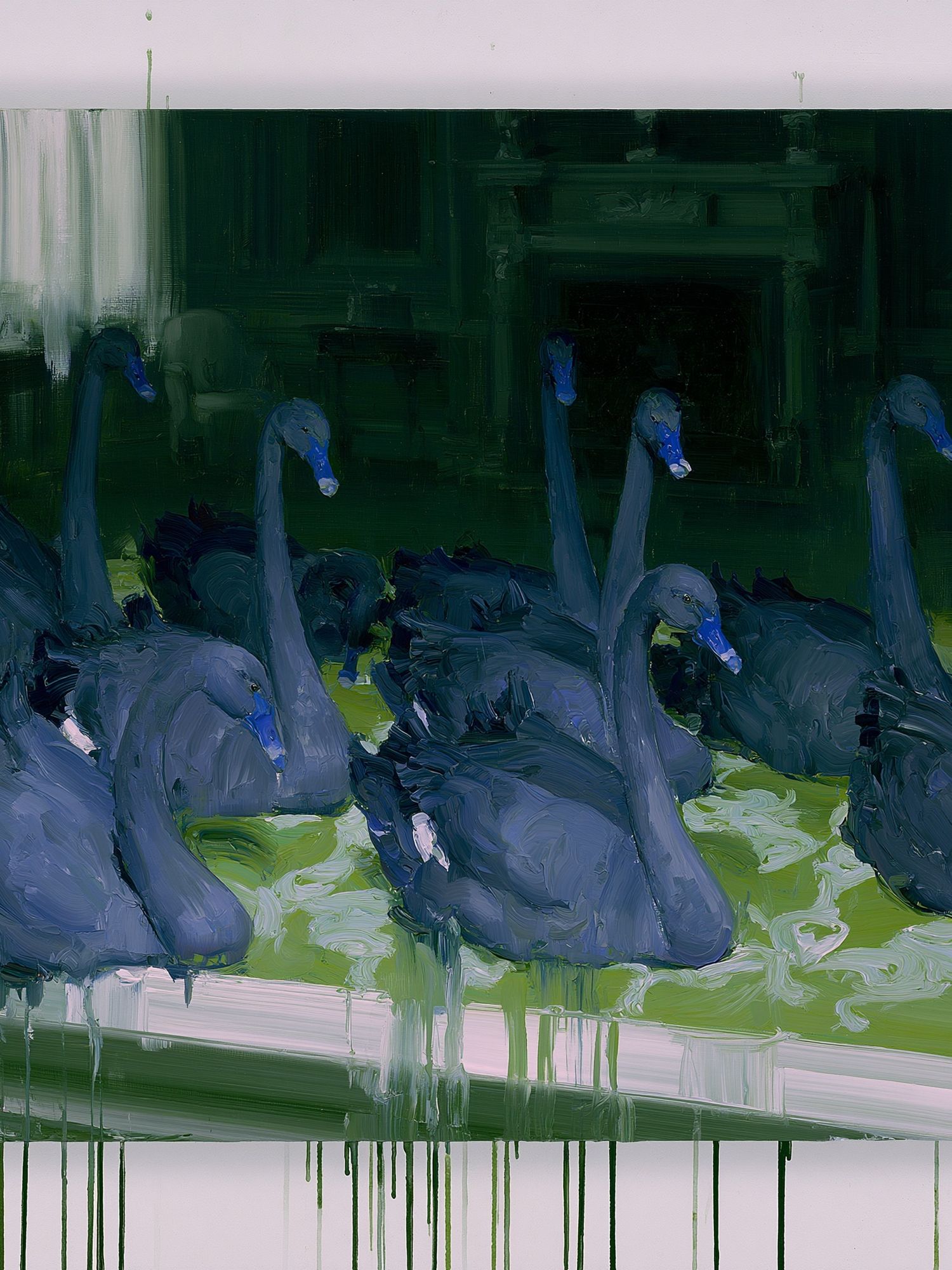Swans in Green Pond Poster. poster — animals art