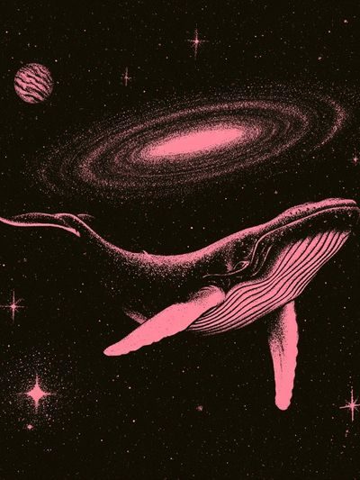 Pink Whale in Space Poster. poster