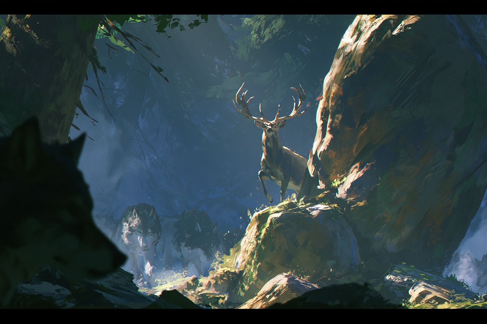 Deer in Misty Forest Print. poster detail
