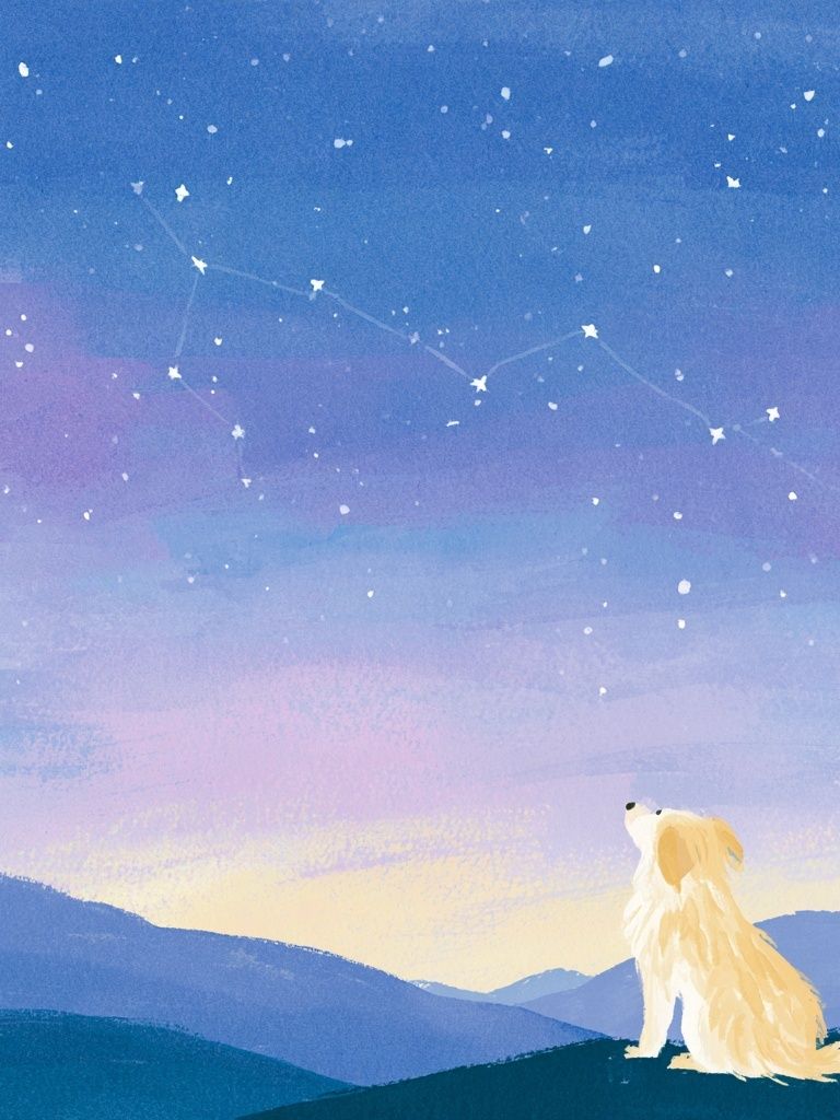 Starry Dog Night Illustration Poster. poster — animals art