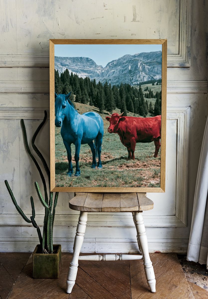 Colorful Horses in Alpine Meadow Poster. room preview