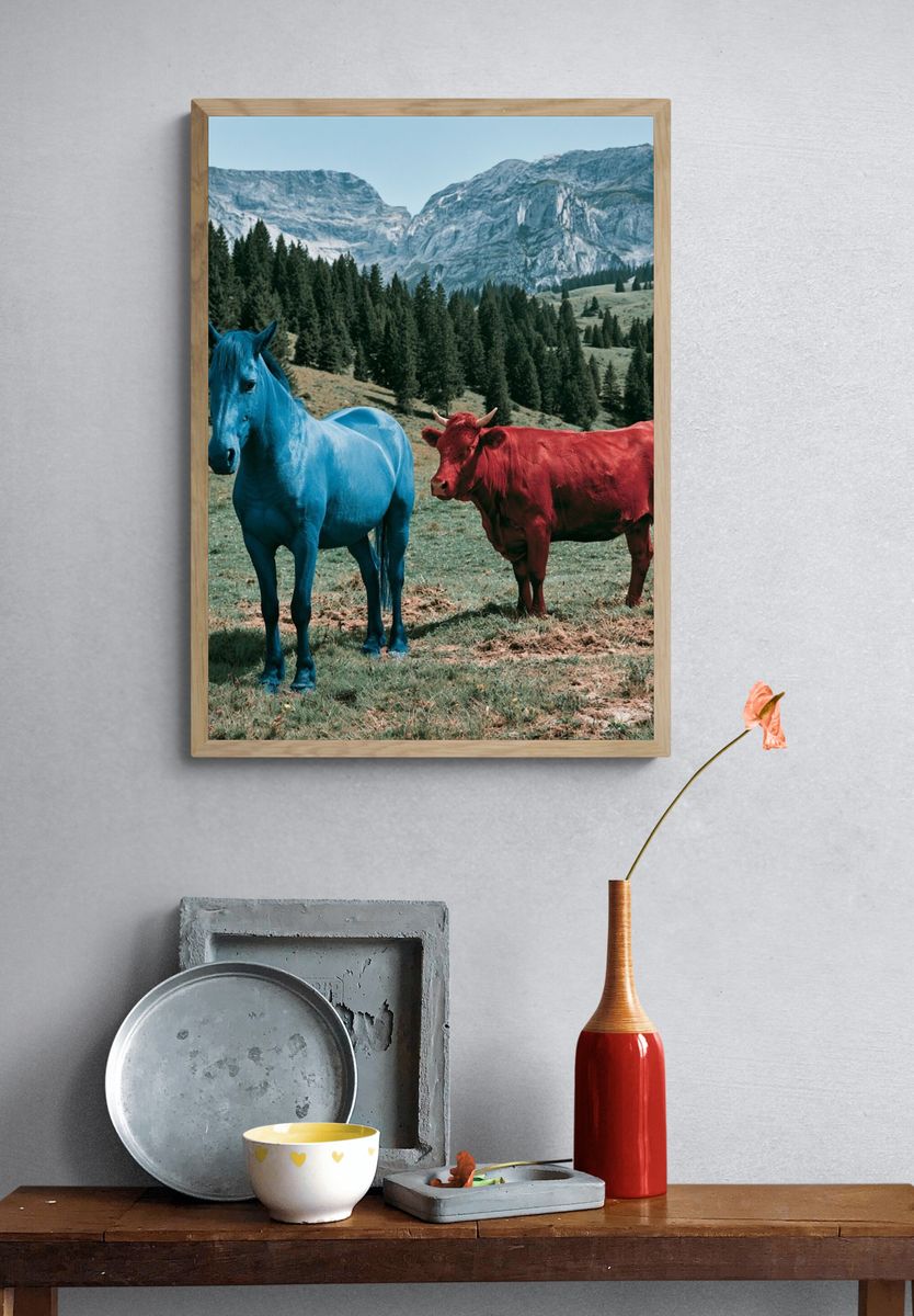 Colorful Horses in Alpine Meadow Poster. — room view 3