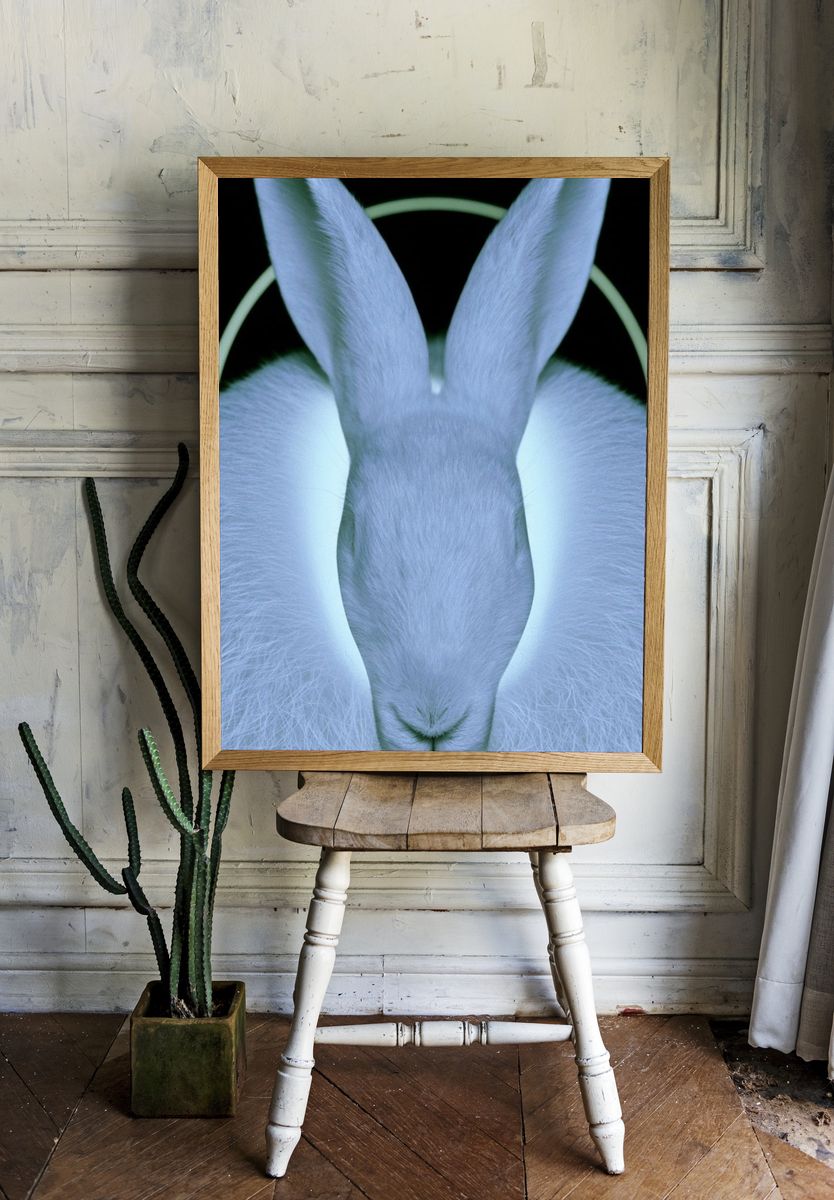 Glowing White Rabbit Portrait Print. room preview