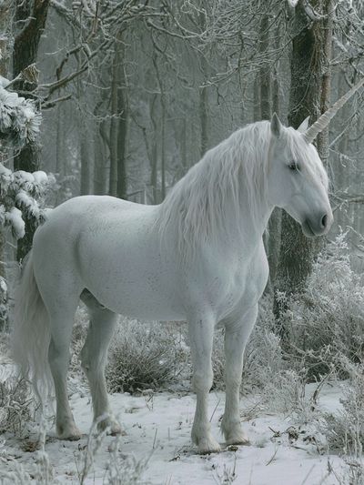 White Unicorn in Winter Forest Poster. poster