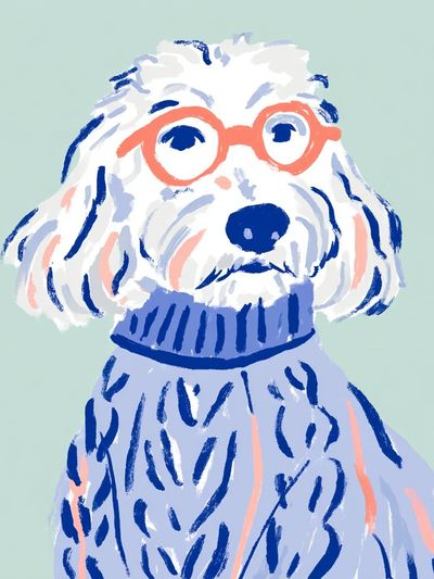Poodle Portrait Illustration Poster. poster print