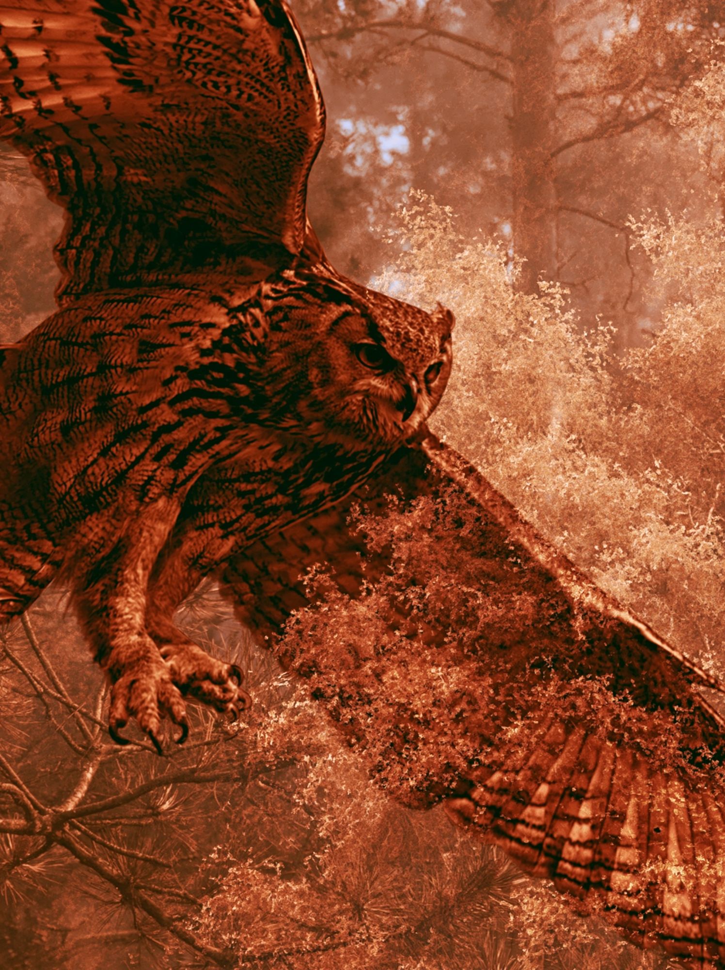 Flying Owl Forest Poster. poster detail