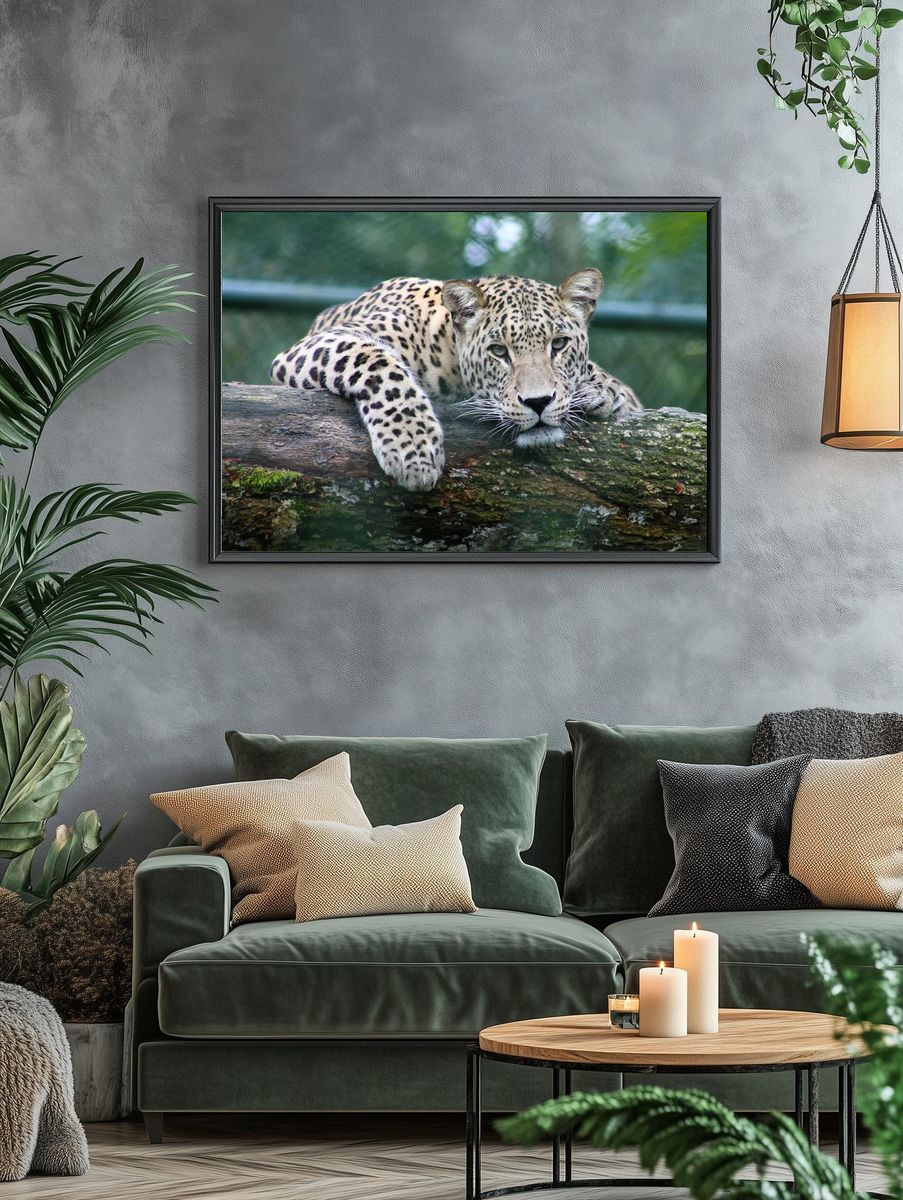 Leopard Relaxing on Log — Animal Photography Poster. — room view 4
