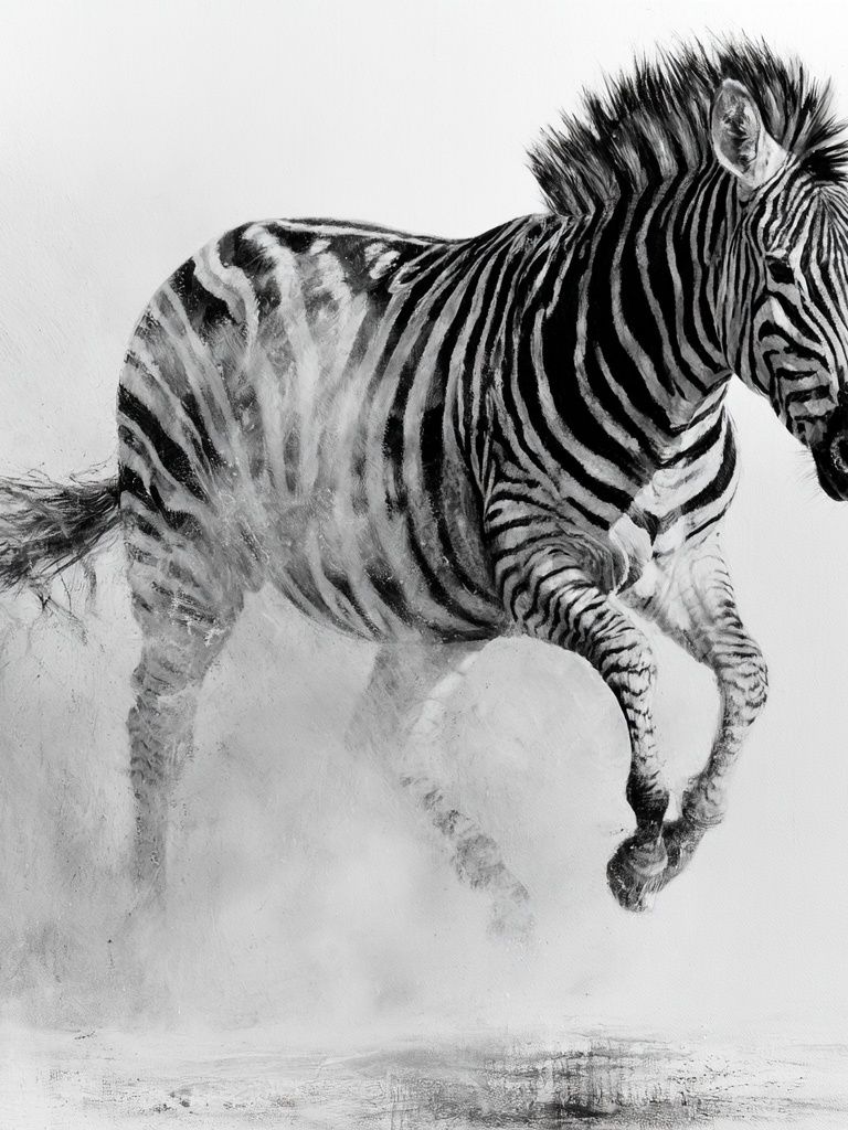 Running Zebra Black-White Poster. poster — animals art