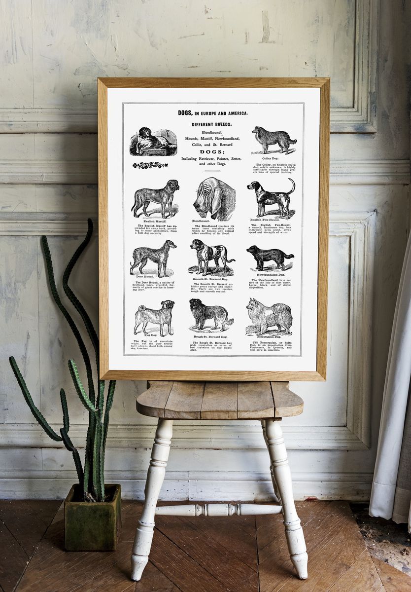 Dog breeds poster. — room view 1