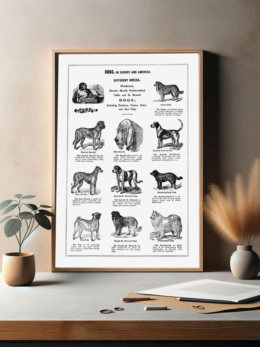 Dog breeds poster. — room view 2