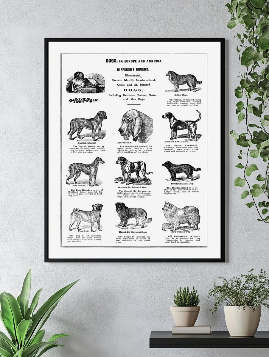 Dog breeds poster. — room view 4