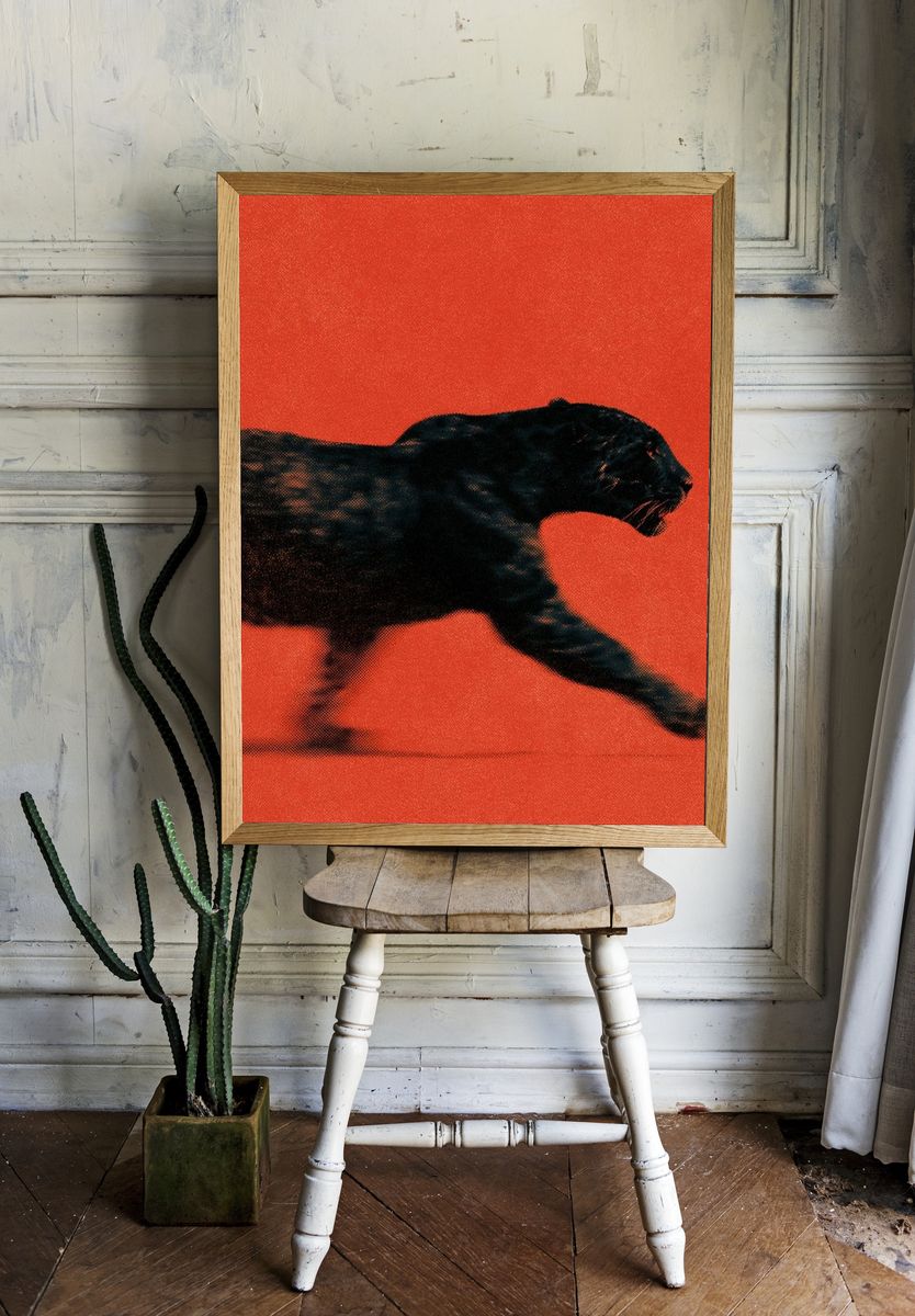 Black Panther Motion Photography Poster. — room view 1