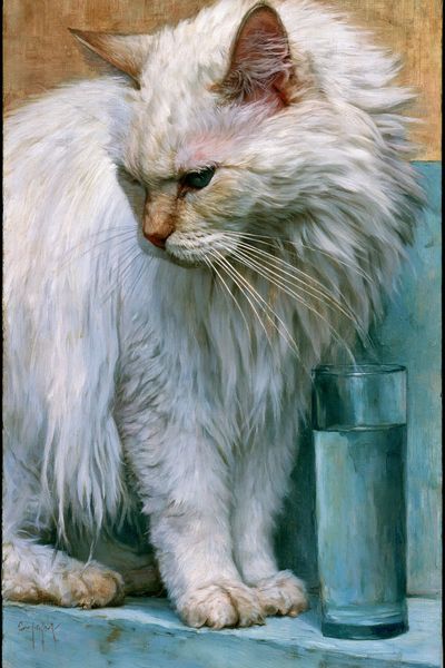White Cat Portrait Fine-Art Print. poster print