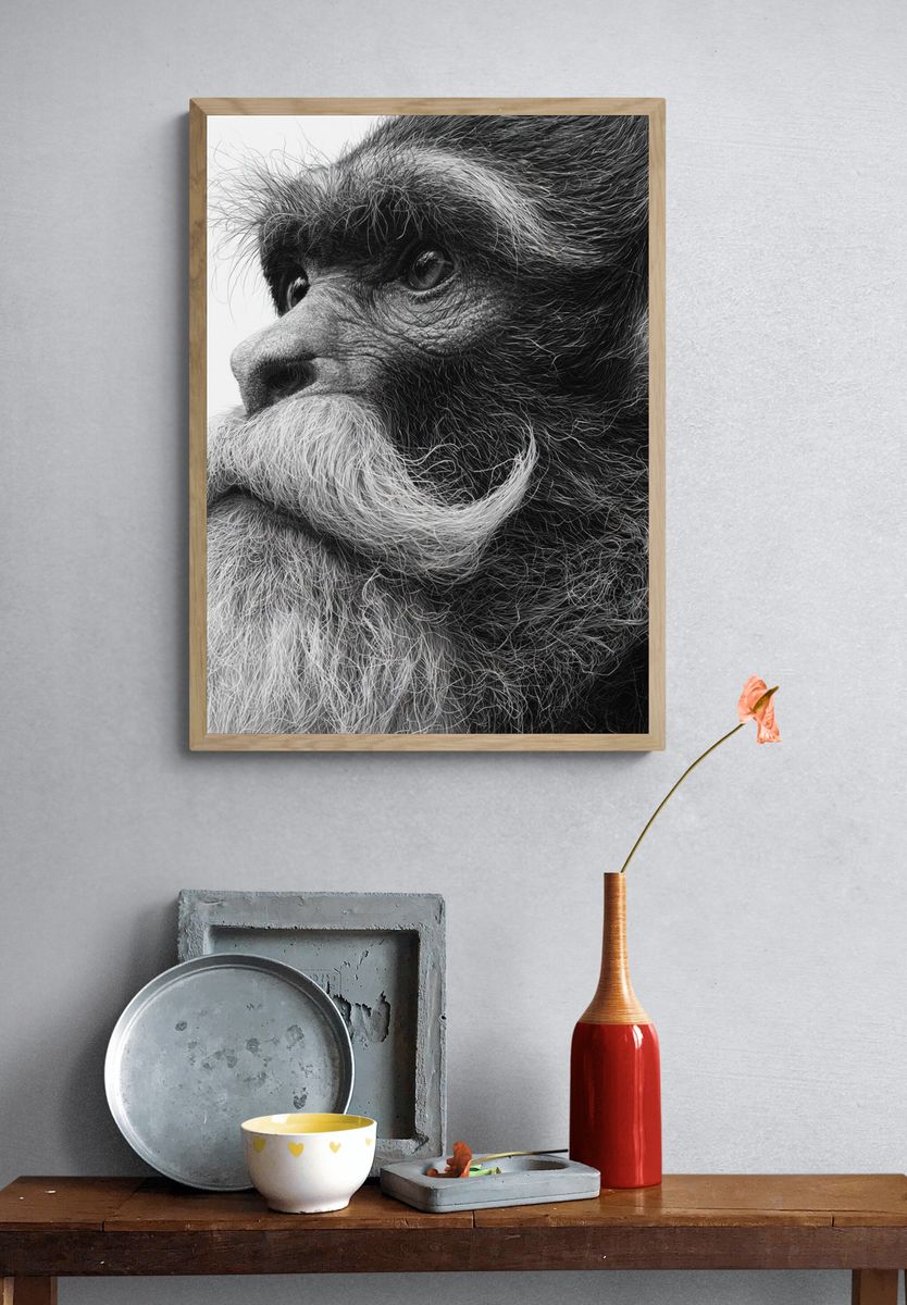 Bearded Monkey Portrait Print. — room view 3