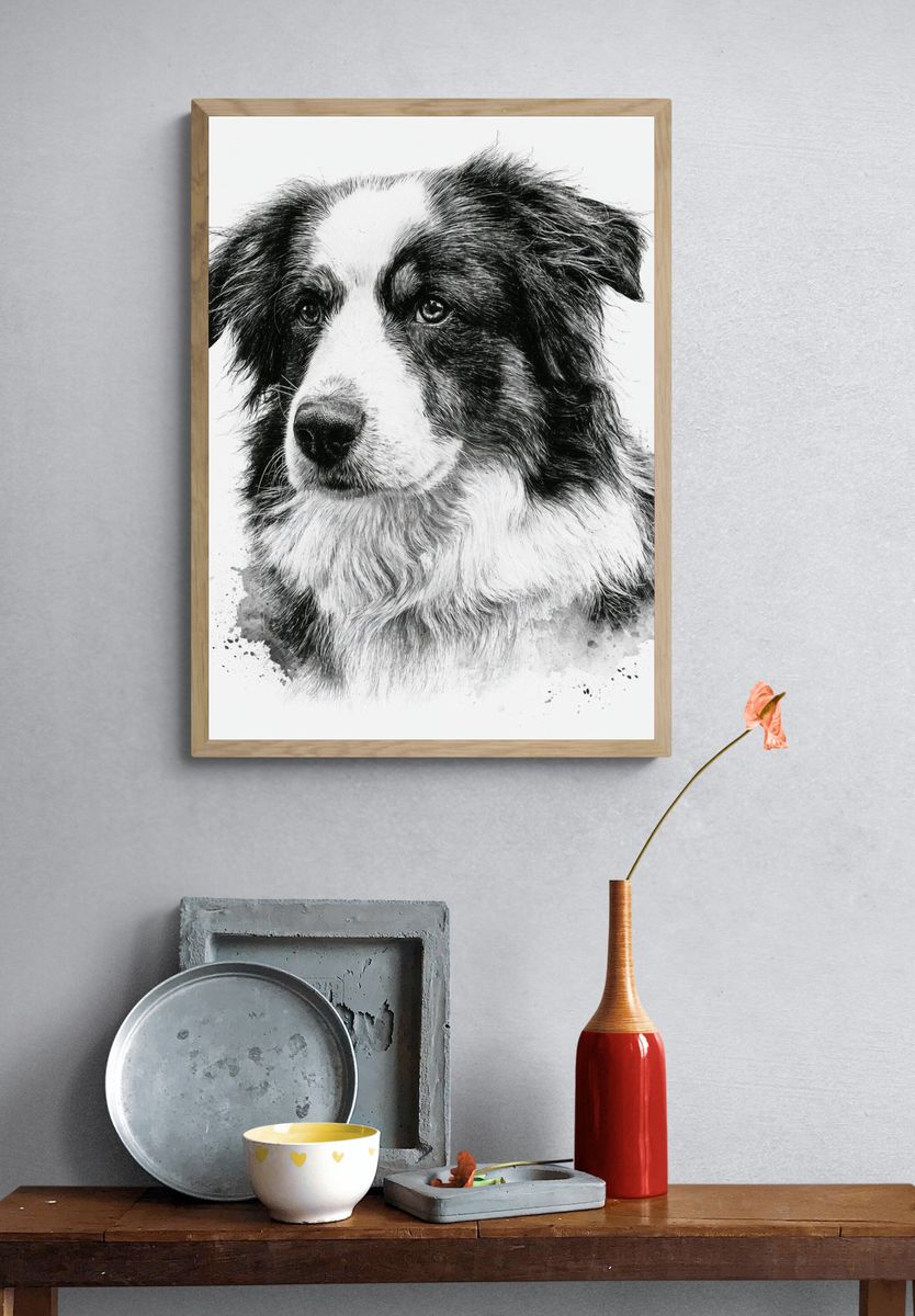 Border Collie Portrait Print. — room view 3