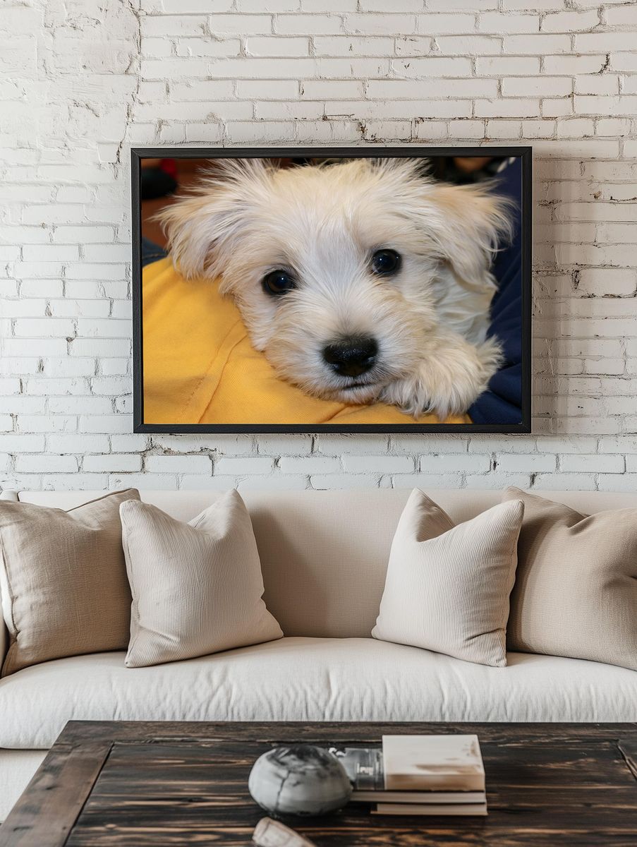 White Puppy Close-Up Photography Poster. room preview