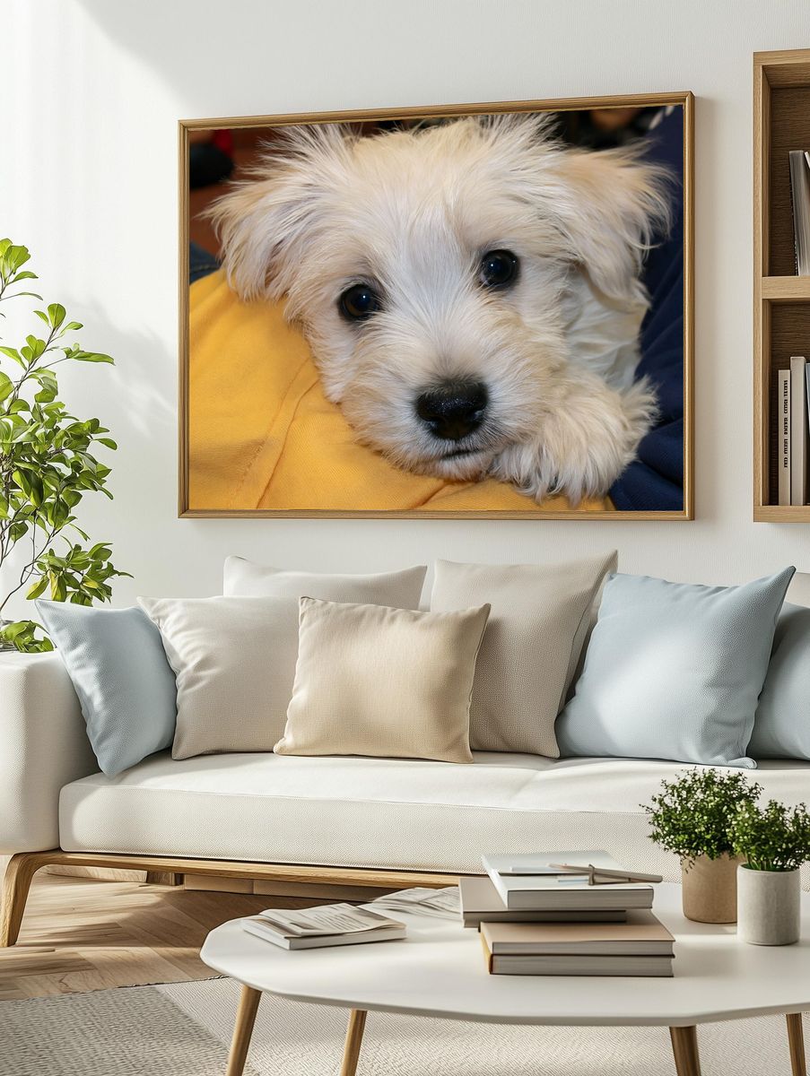 White Puppy Close-Up Photography Poster. — room view 2