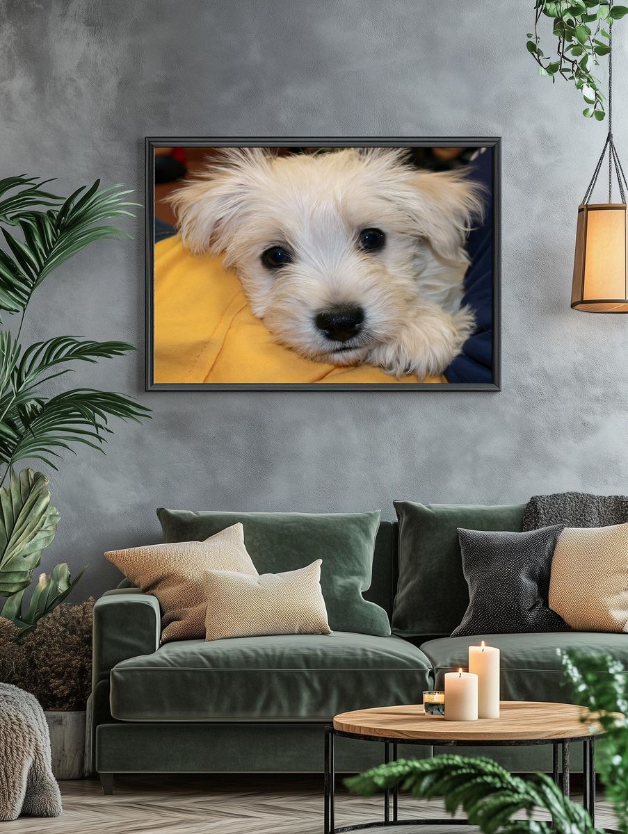 White Puppy Close-Up Photography Poster. — room view 4