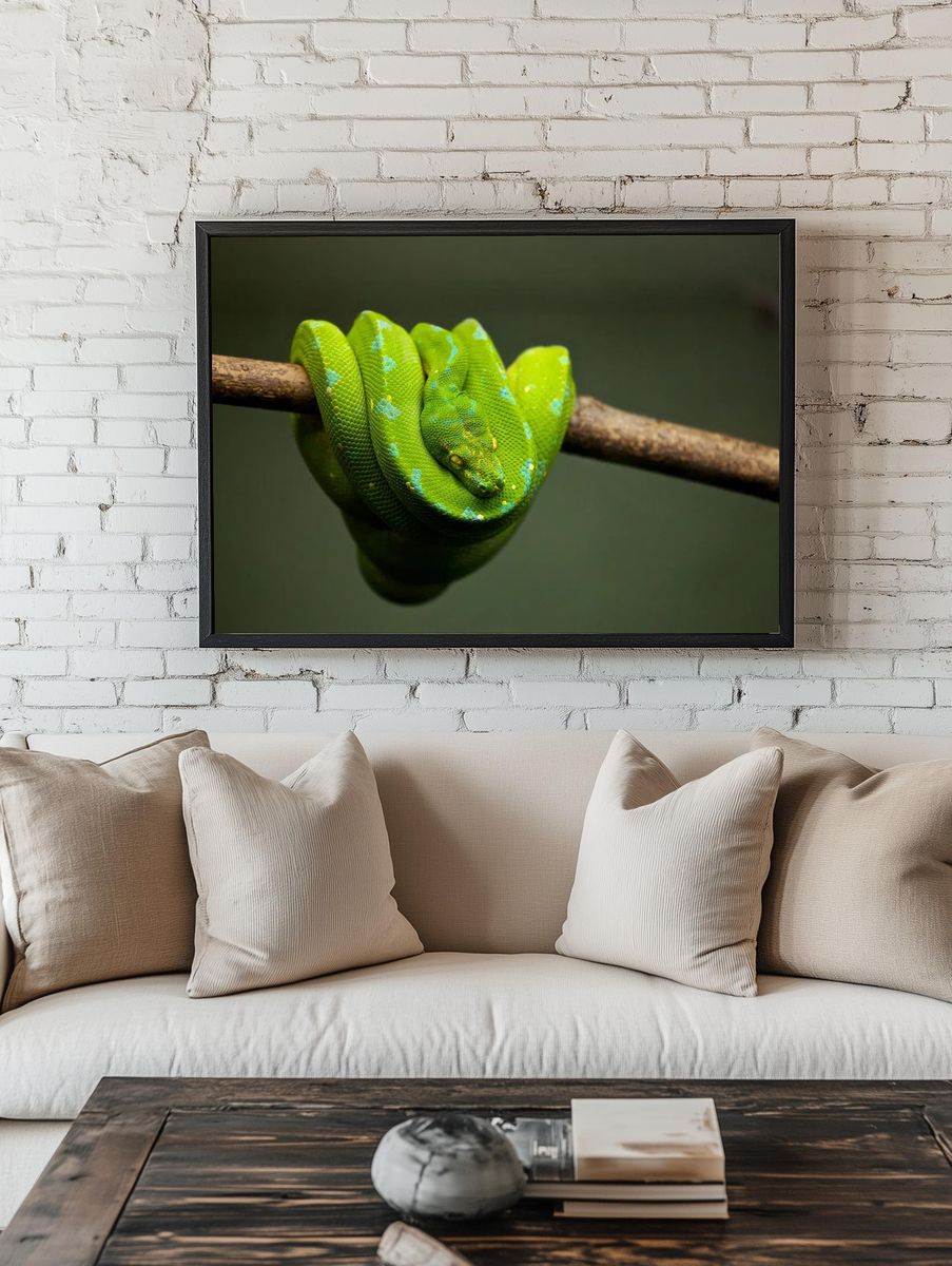 Green Python on Branch — Animal Photography Print. — room view 1
