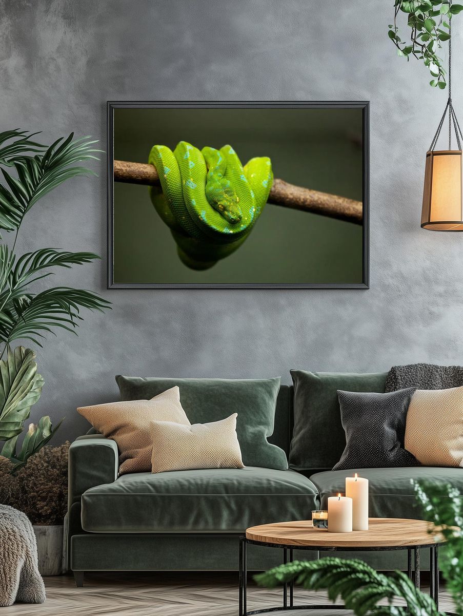 Green Python on Branch — Animal Photography Print. — room view 4