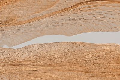 Abstract Natural Textures Poster. poster print