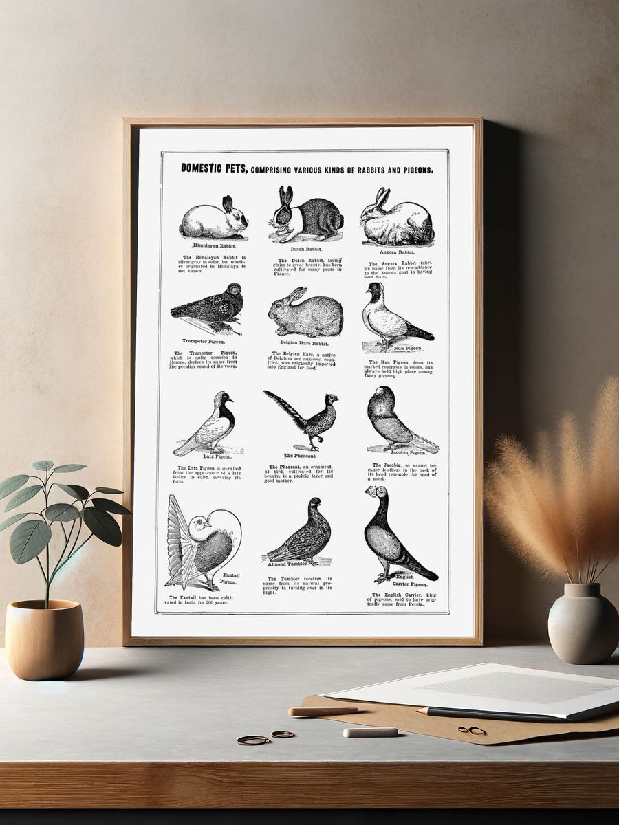 Domestic pet poster. — room view 2